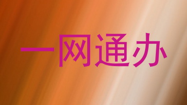 一网通办