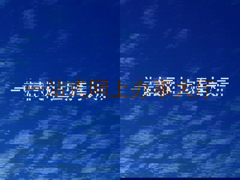 一站式网上办事大厅