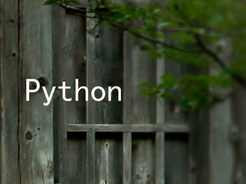 Python