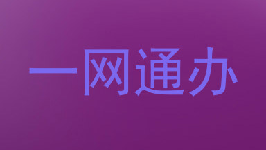 一网通办