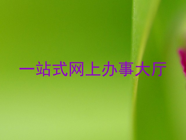 一站式网上办事大厅