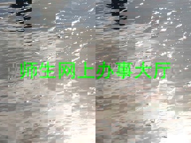 师生网上办事大厅