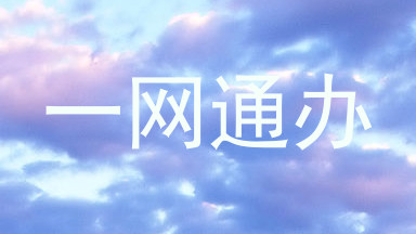 一网通办