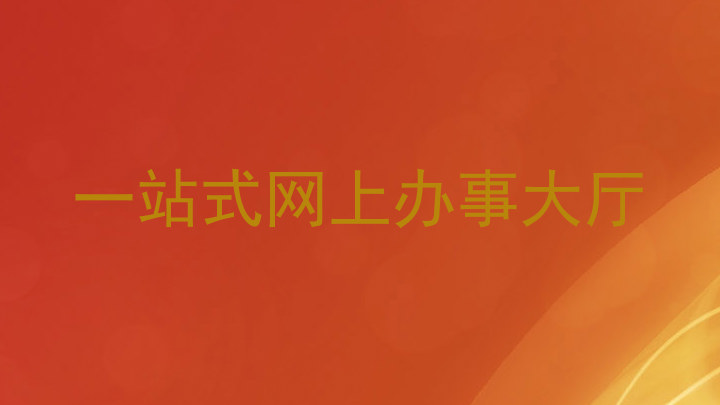 一站式网上办事大厅