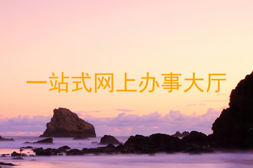 一站式网上办事大厅