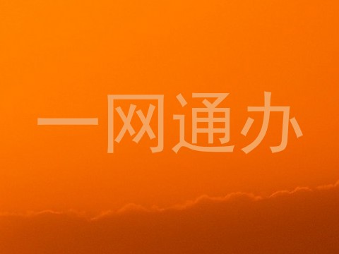 一网通办