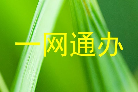 一网通办