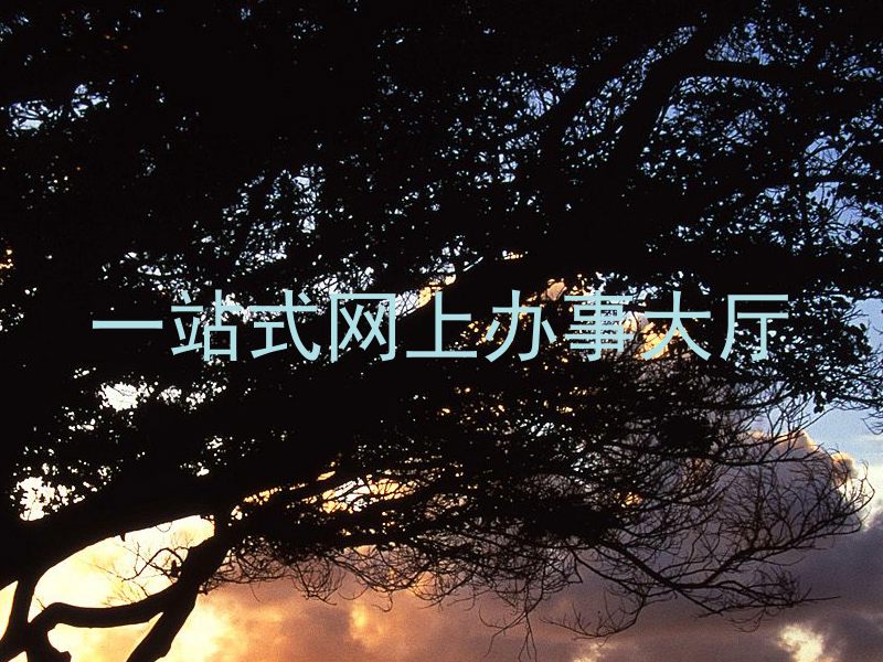 一站式网上办事大厅