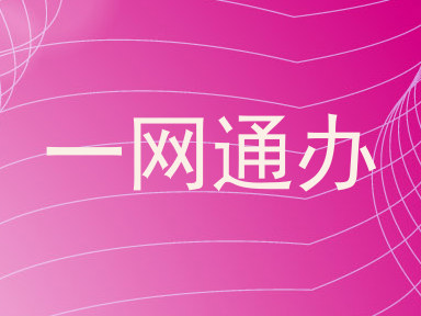 一网通办