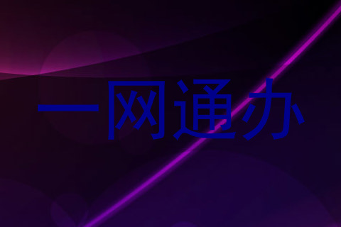 一网通办