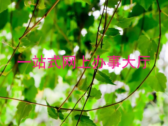 一站式网上办事大厅