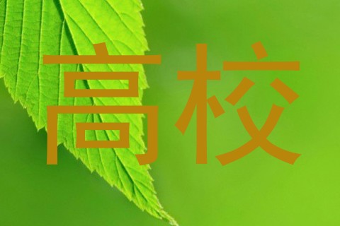 高校