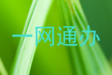 一网通办