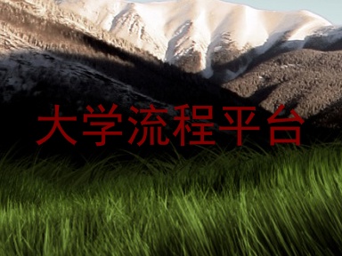 大学流程平台
