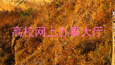 高校网上办事大厅