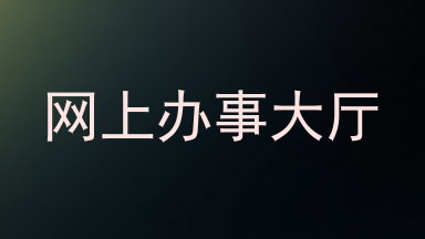 网上办事大厅