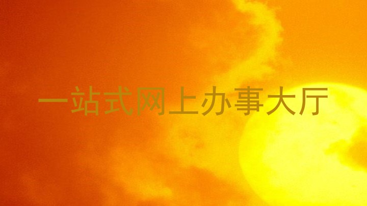 一站式网上办事大厅