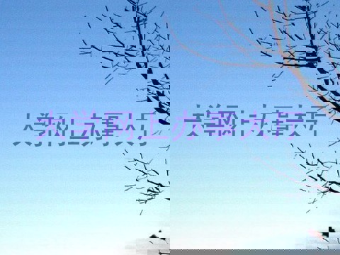 大学网上办事大厅