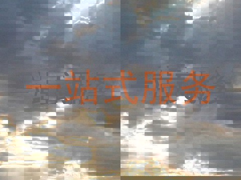一站式服务