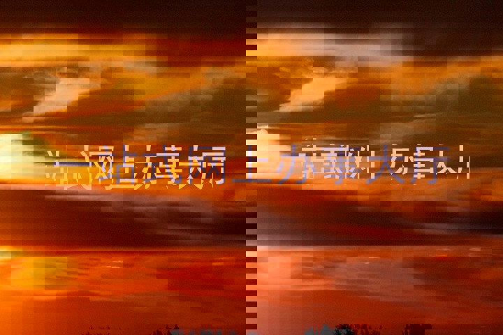 一站式网上办事大厅