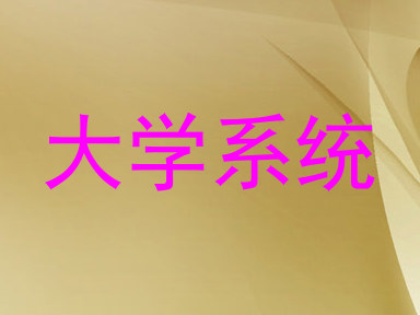 大学系统