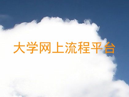 大学网上流程平台