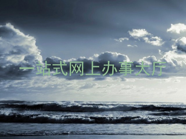 一站式网上办事大厅