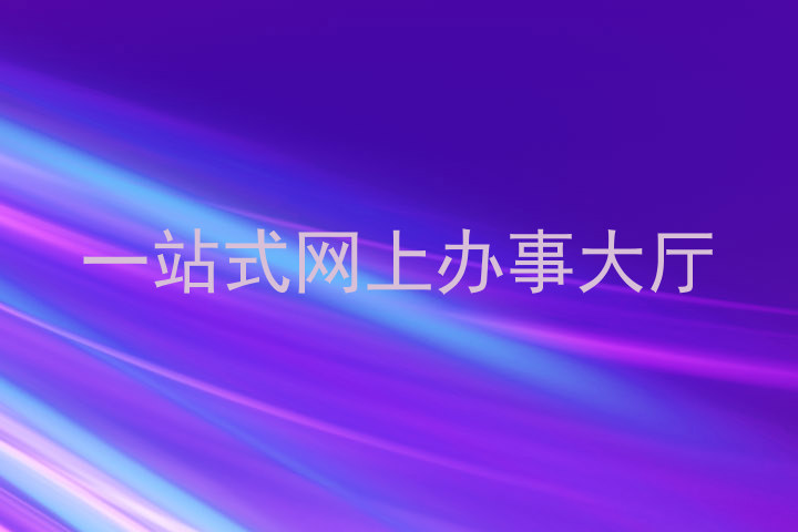 一站式网上办事大厅