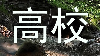 高校