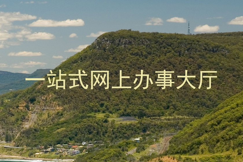 一站式网上办事大厅