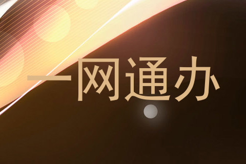 一网通办