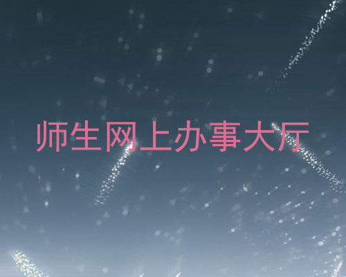 师生网上办事大厅