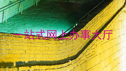 一站式网上办事大厅