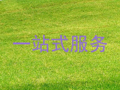 一站式服务