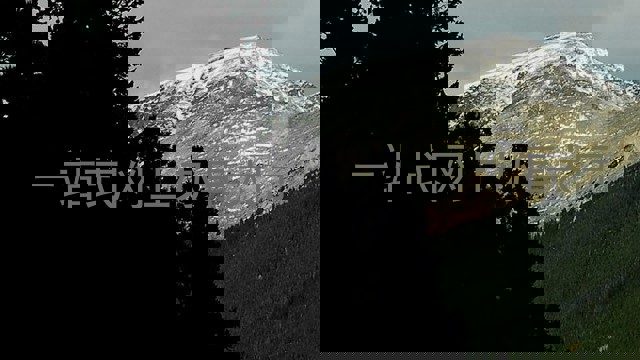 一站式网上办事大厅