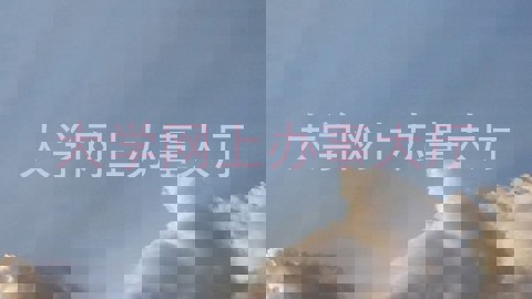 大学网上办事大厅