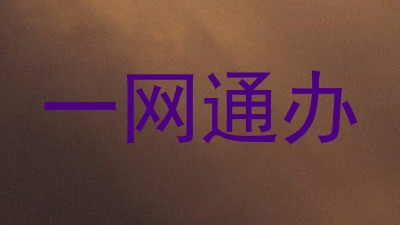 一网通办