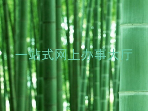 一站式网上办事大厅