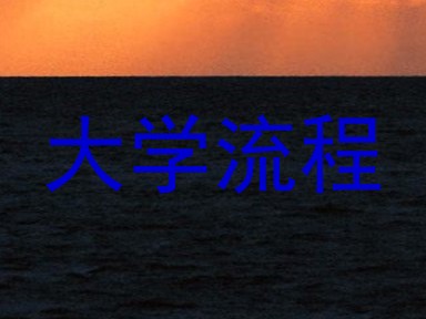 大学流程