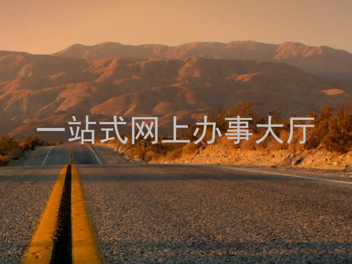 一站式网上办事大厅