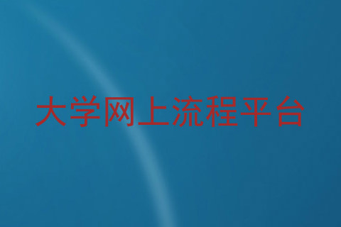 大学网上流程平台