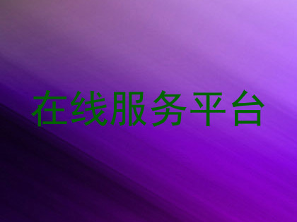 在线服务平台