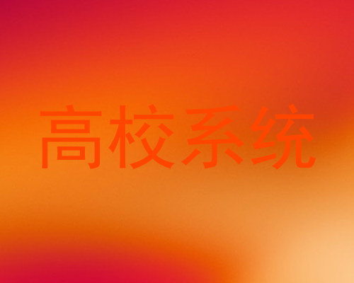 高校系统