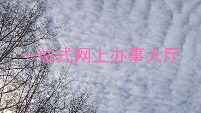 一站式网上办事大厅