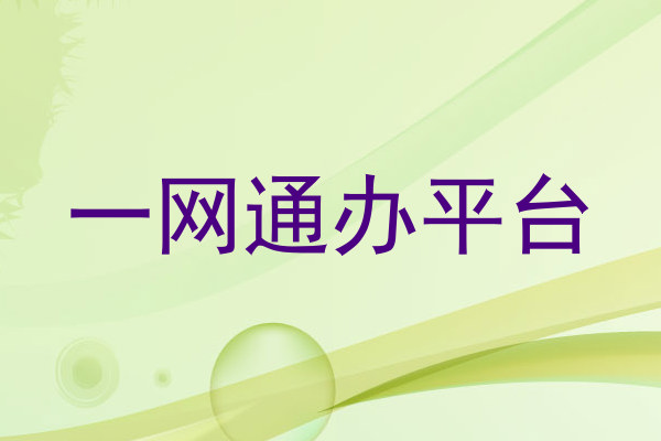 一网通办平台