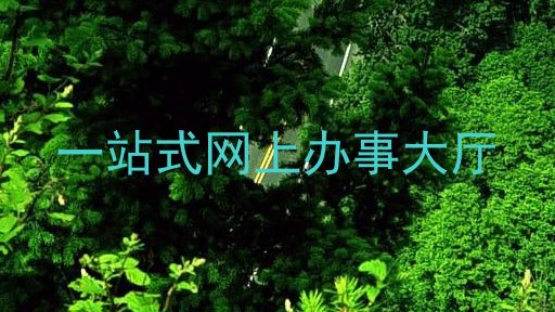 一站式网上办事大厅