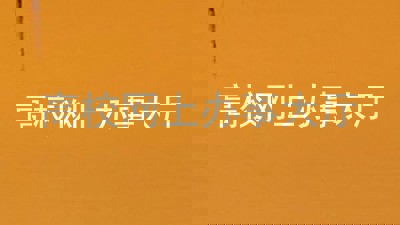 高校网上办事大厅