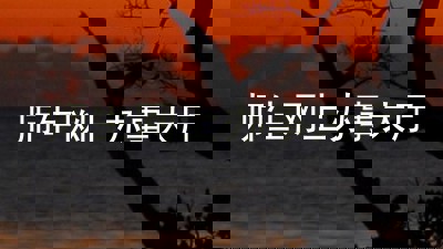 师生网上办事大厅