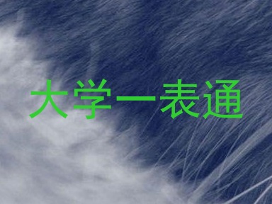 大学一表通