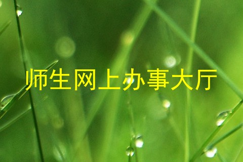 师生网上办事大厅